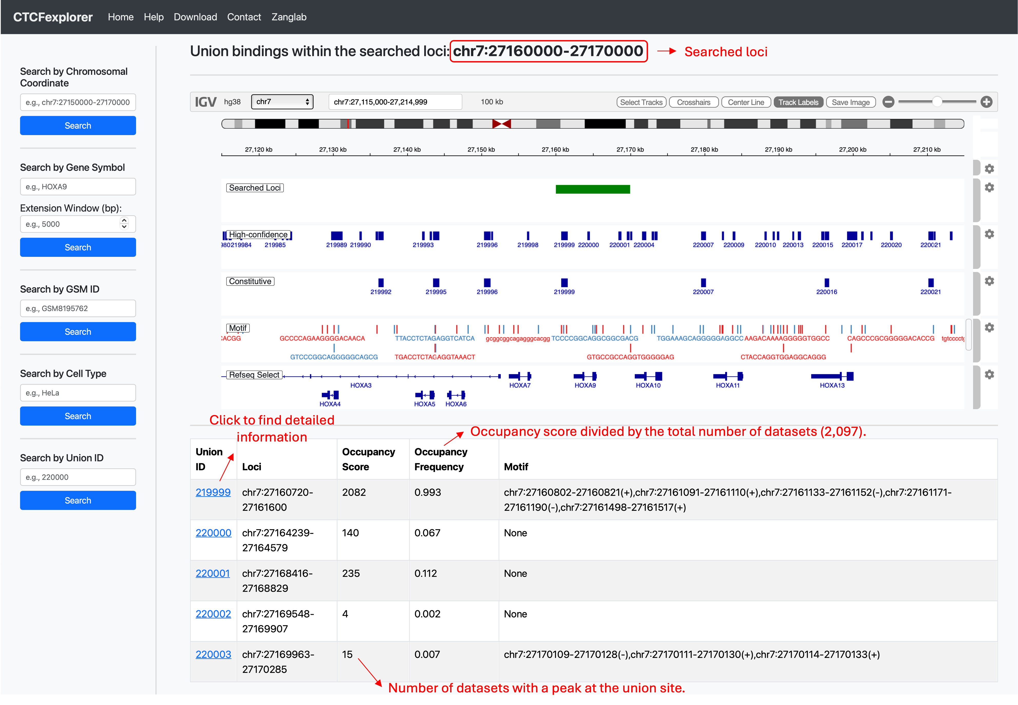 CTCF Image